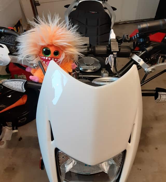 New Riding Buddy Secured to Motorcycle.