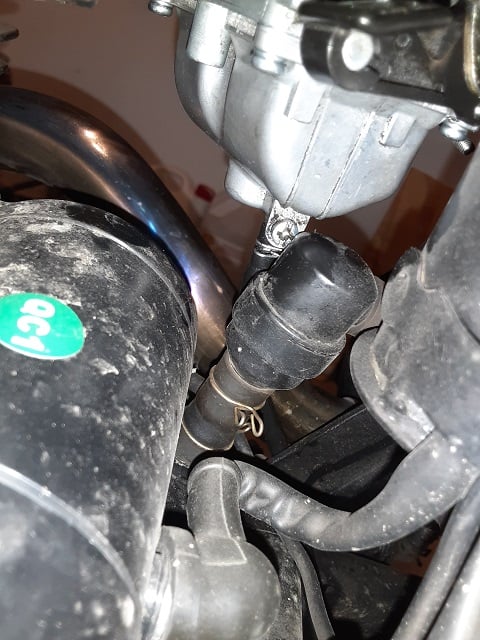 Carburetor drain screw.