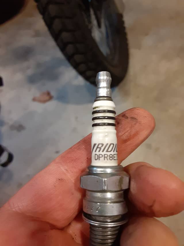 New NGK DPR8EIX-9 Iridium IX Spark Plug with rounded tip out of box.